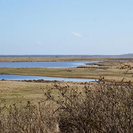 Leuchtturmblick - Auf Hiddensee