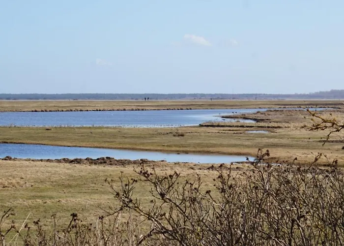 Leuchtturmblick - Auf Hiddensee